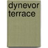 Dynevor Terrace