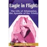 Eagle In Flight by Allienne R. Becker