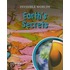 Earth's Secrets