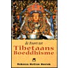 De poort tot Tibetaans boeddhisme door R. MacClen Novick