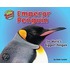 Emperor Penguin