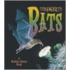 Endangered Bats