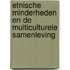 Etnische minderheden en de multiculturele samenleving