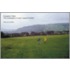 European Fields