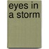 Eyes In A Storm