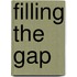 Filling The Gap