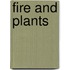 Fire And Plants