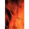 Fire and Memory by Luis Fernandez-Galiano