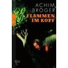 Flammen im Kopf door Achim Bröger
