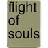Flight Of Souls