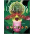 Flora's Orchids