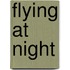 Flying At Night