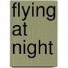 Flying At Night door Ted Kooser