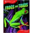 Frogs And Toads