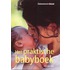 Het praktische babyboek