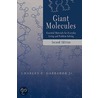 Giant Molecules door Raymond B. Seymour