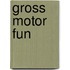 Gross Motor Fun