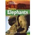 Happy Elephants