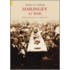 Haringey At War