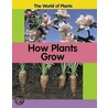 How Plants Grow by Richard Dunne