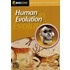Human Evolution