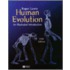 Human Evolution