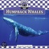 Humpback Whales