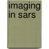 Imaging in Sars