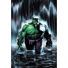 Incredible Hulk door Peter David