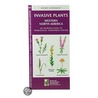 Invasive Plants by James Kavanaugh