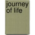 Journey Of Life