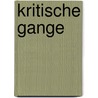 Kritische Gange by Friedrich Theodor Vischer