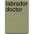 Labrador Doctor