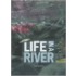 Life in a River