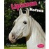Lipizzan Horses