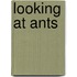 Looking at Ants