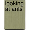 Looking at Ants by Lyzz Roth-Singer