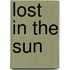 Lost in the Sun