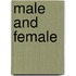 Male And Female