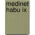Medinet Habu Ix