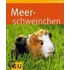 Meerschweinchen