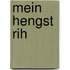 Mein Hengst Rih