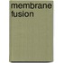 Membrane Fusion