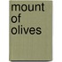 Mount of Olives