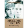 Muslims Like Us door David J. Roomy