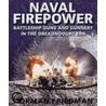 Naval Firepower by Rif Winfield
