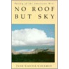 No Roof but Sky door Jane Candia Coleman