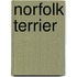 Norfolk Terrier