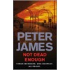 Not Dead Enough door Peter James