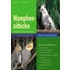 Nymphensittiche